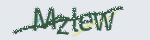 Enter the string shown in the image or use the following audio alternative