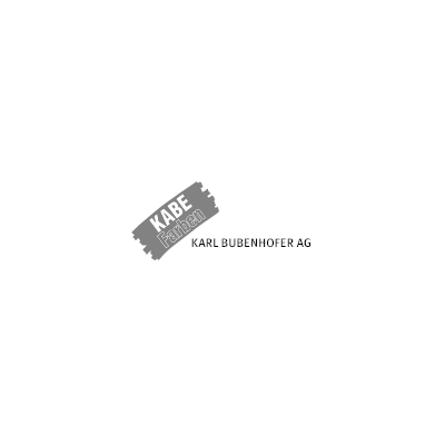 CALSILIT Crépi badigeon 0.3 mm Extérieur Blanc