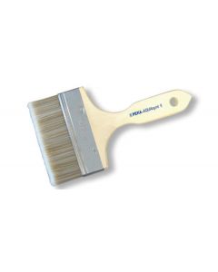 Image1