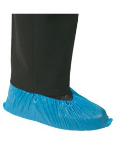 Image1